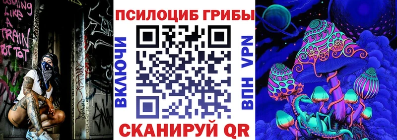 Купить Игарка Галлюциногенные грибы MAGIC MUSHROOMS